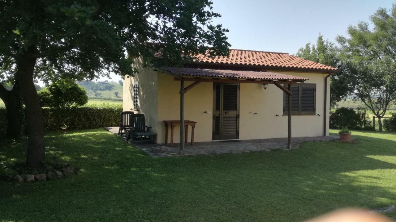 Agriturismo Cavallin Del Papa Capalbio Εξωτερικό φωτογραφία