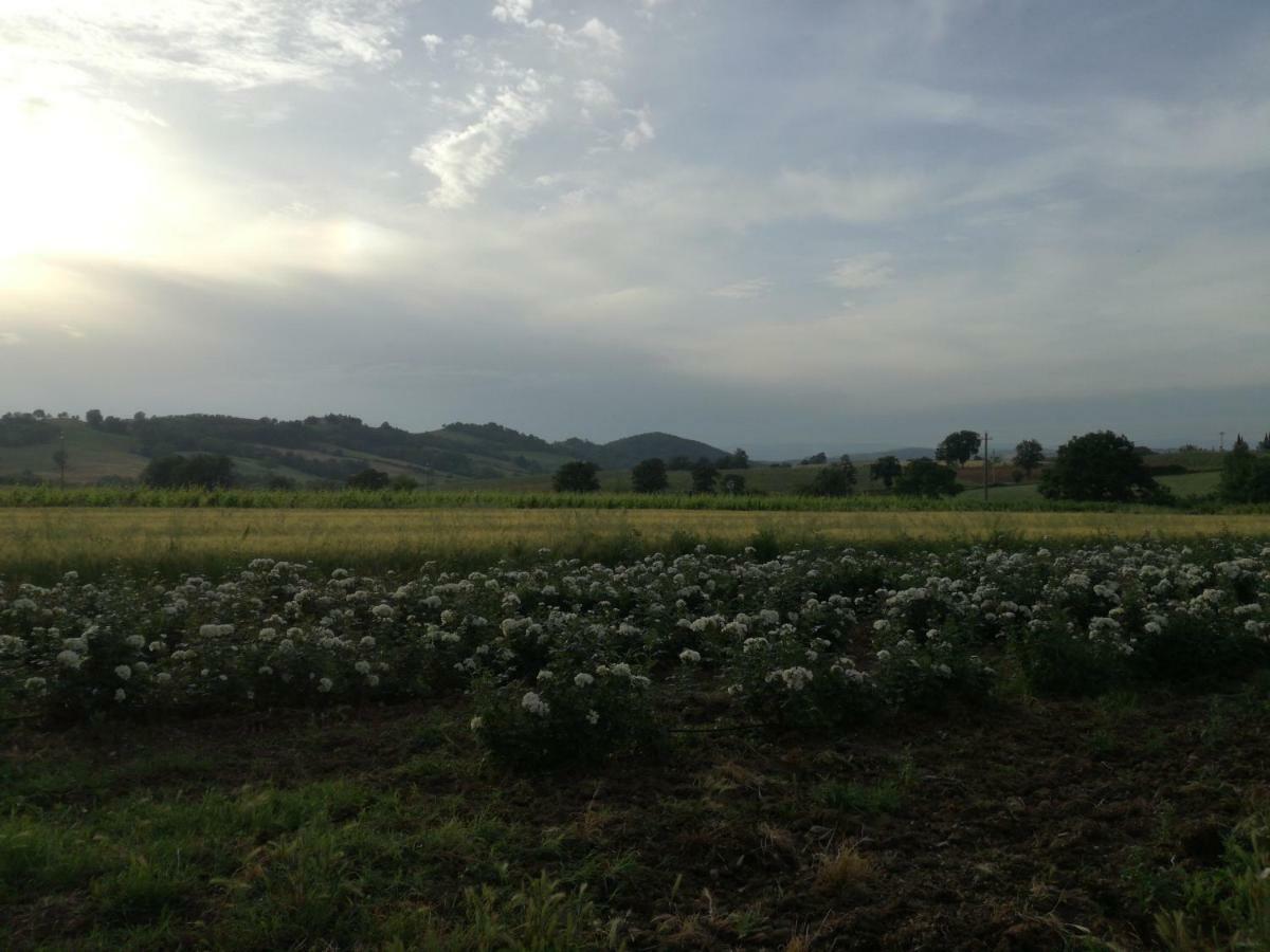 Agriturismo Cavallin Del Papa Capalbio Εξωτερικό φωτογραφία