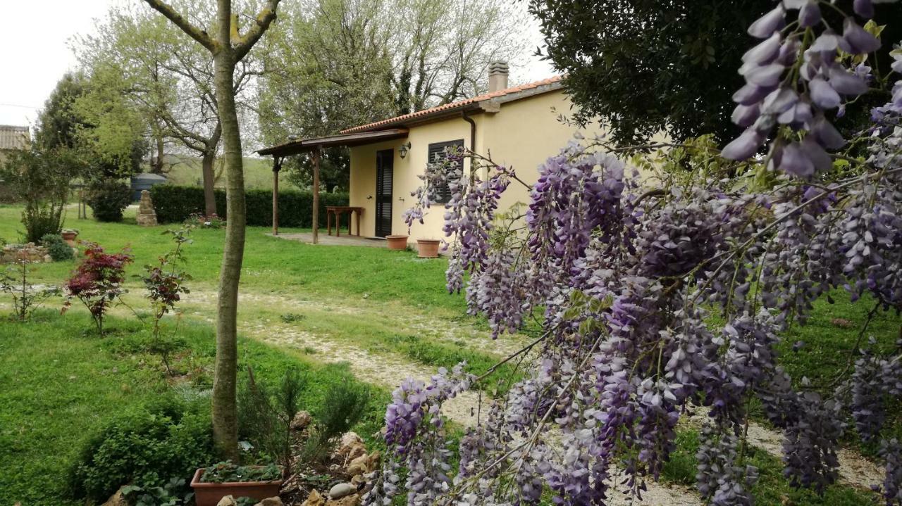 Agriturismo Cavallin Del Papa Capalbio Εξωτερικό φωτογραφία